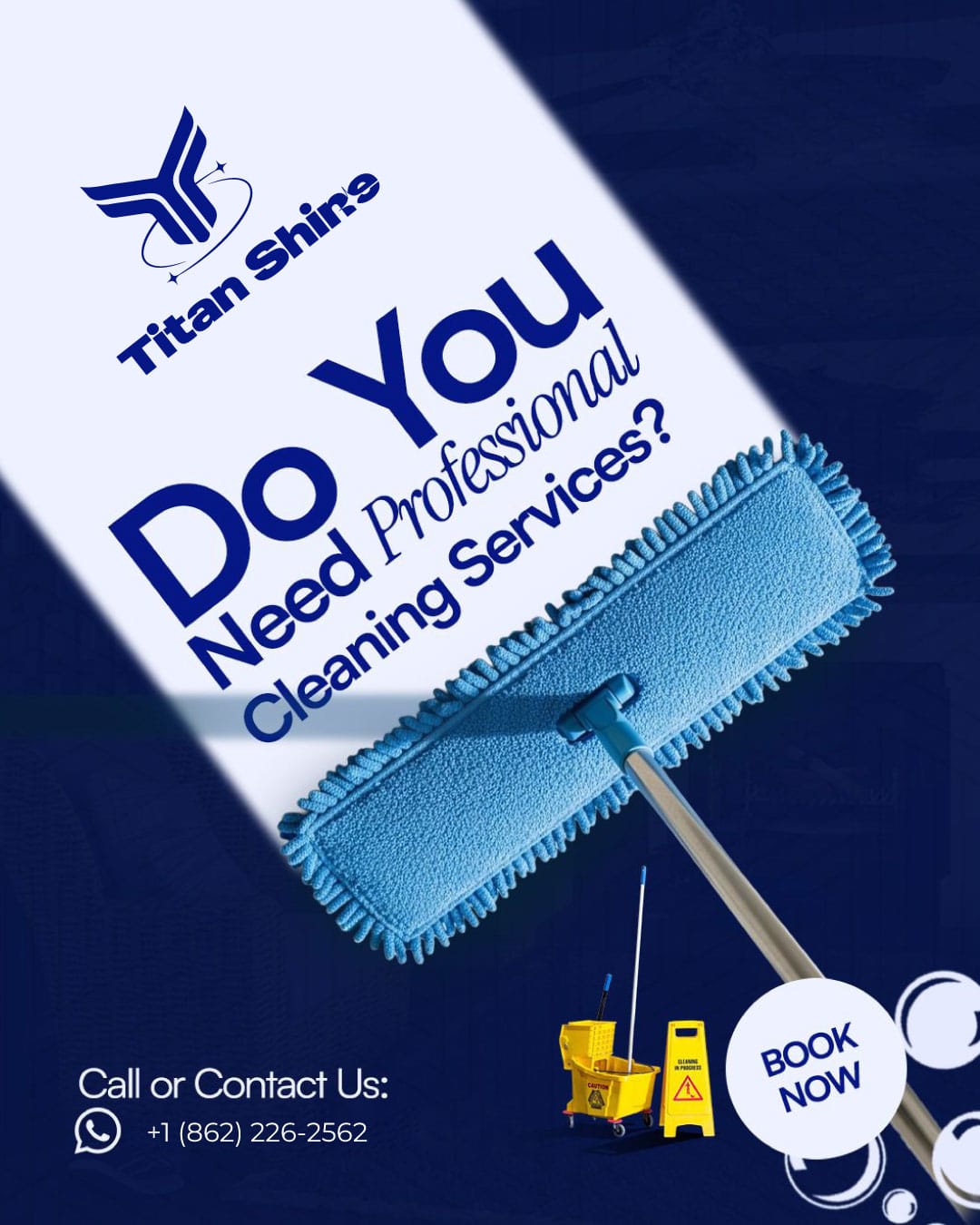 Professional cleaning services